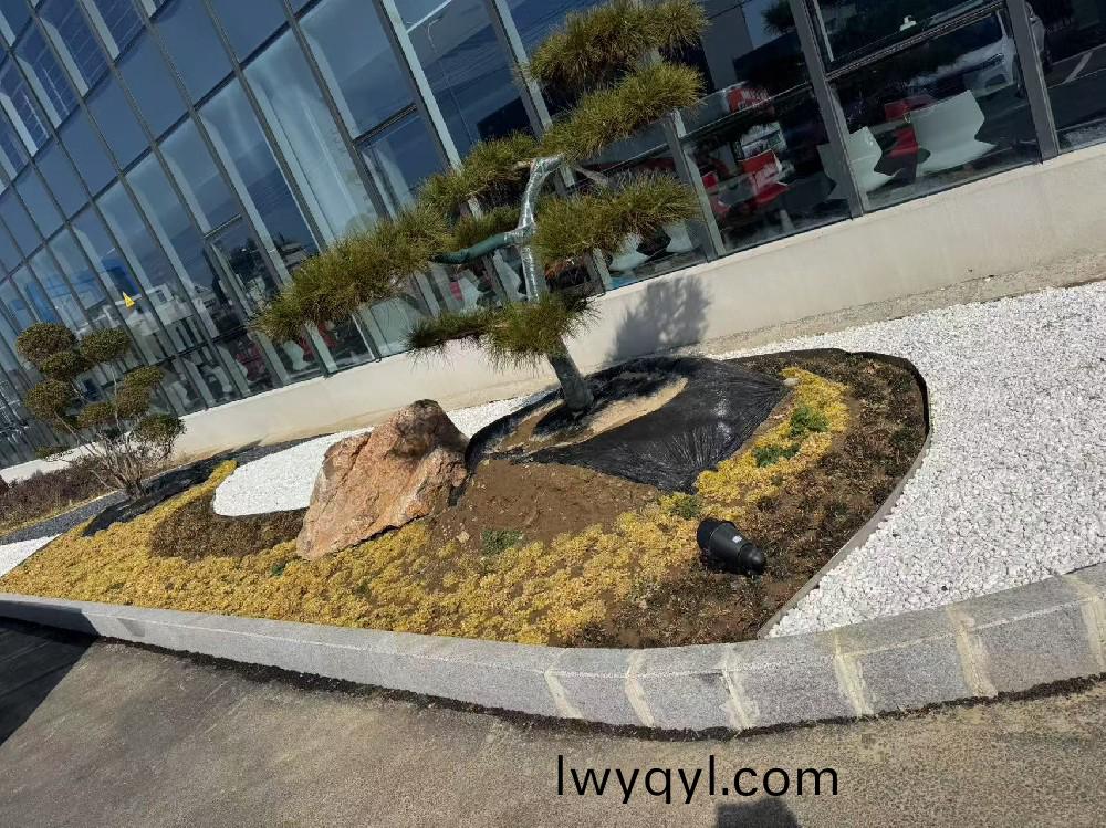 宿(su)遷某瑞(rui)森企(qi)業(yè)廠(chang)房(fang)內(nèi)部(bu)綠(lv)化